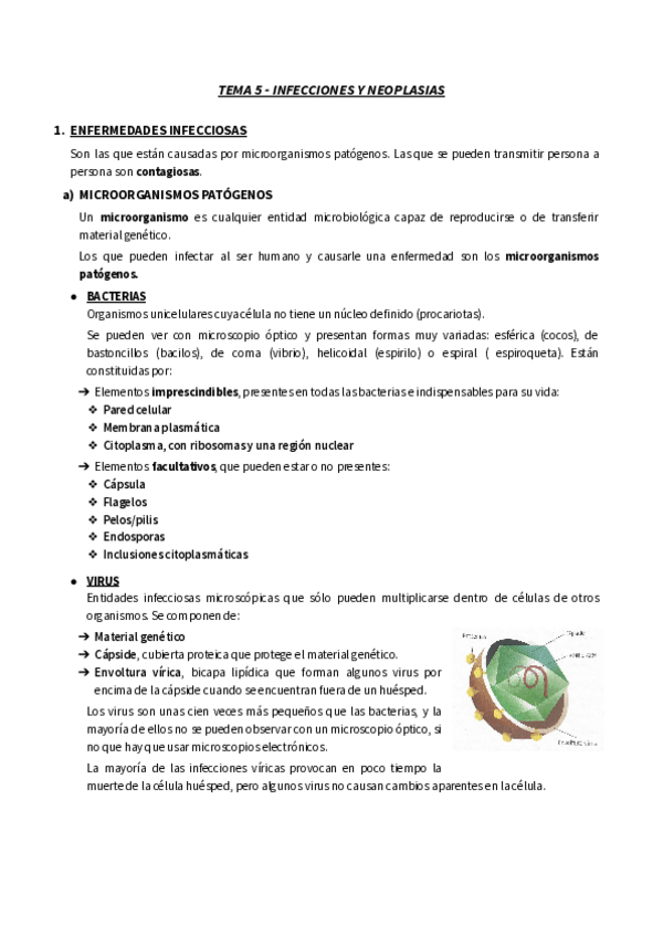 Miniatura del documento TEMA-5-INFECCIONES-Y-NEOPLASIAS-RESUMEN-FISIO.pdf
