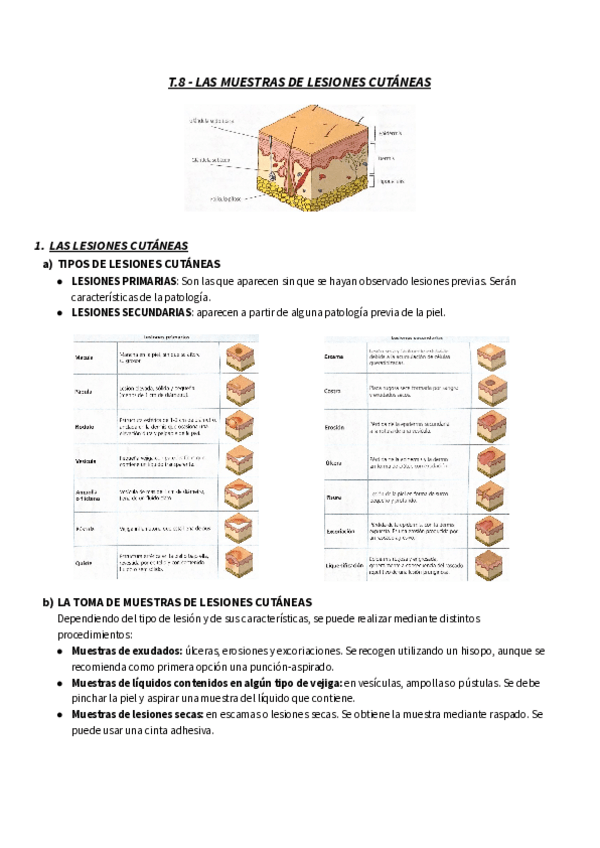 Miniatura del documento TEMA-8-RESUMEN-GM-LAS-MUESTRAS-DE-LESIONES-CUTANEAS.pdf