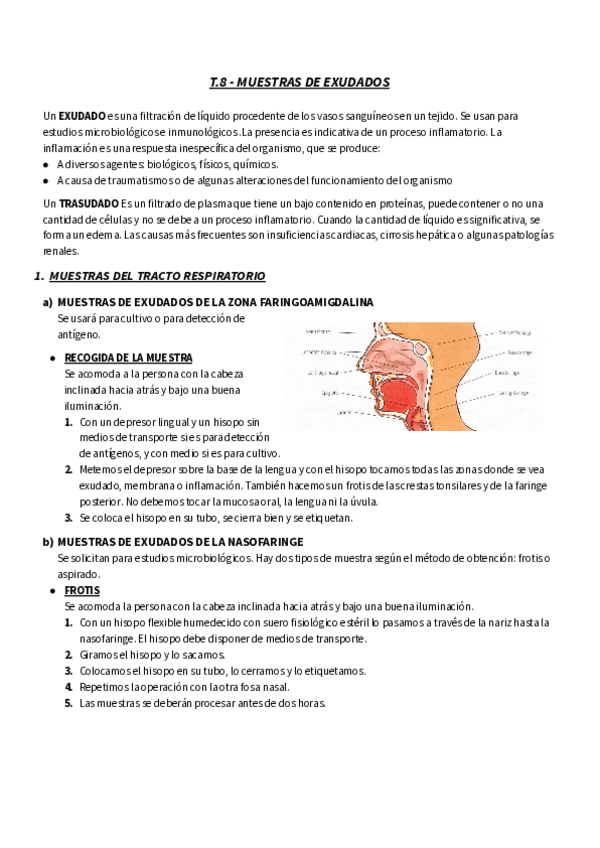 Miniatura del documento TEMA-7-RESUMEN-GM-MUESTRAS-DE-EXUDADOS.pdf