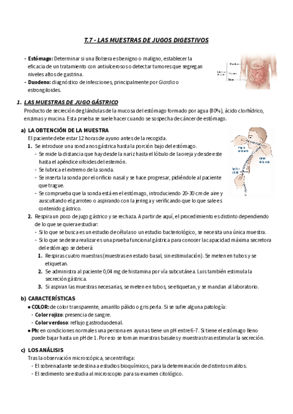 Miniatura del documento TEMA-7-GM-MUESTRAS-DE-TUBOS-DIGESTIVOS.pdf