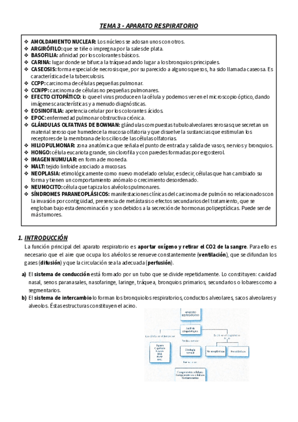 Miniatura del documento T.pdf