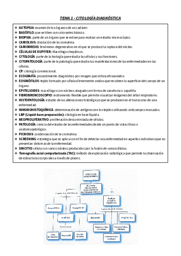 Miniatura del documento T.pdf