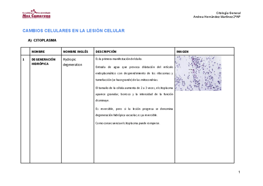 Miniatura del documento CAMBIOS-CELULARES-EN-LA-LESION-CELULAR-TRABAJO-CITO-Andrea-Hernandez-Martinez-2oAP.pdf