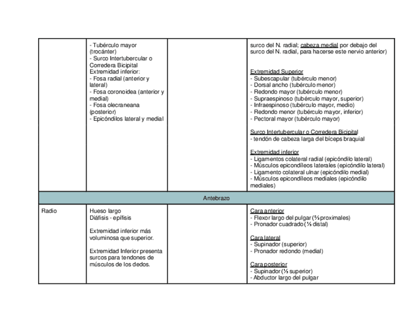 Miniatura del documento locomotor-miembro-superior-III.pdf
