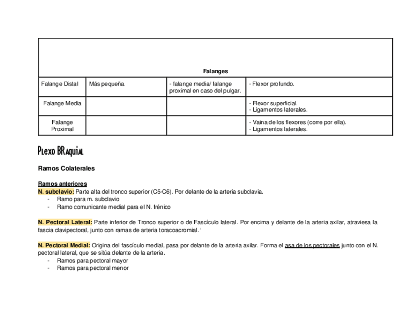Miniatura del documento locomotor-miembro-s-V.pdf
