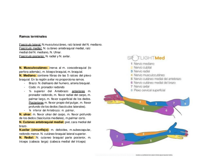 Miniatura del documento locomotor-miembro-s-VI.pdf