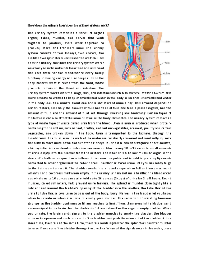 Miniatura del documento The-urinary-system-comprises-a-series-of-organs-organs.pdf