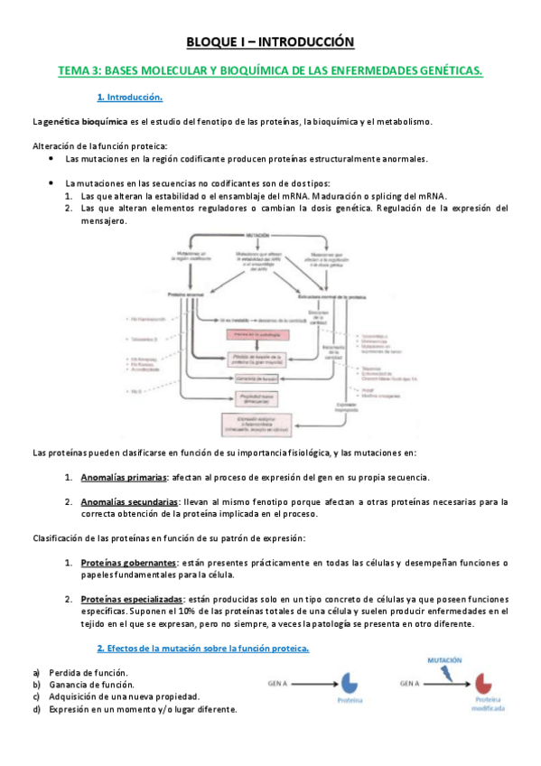 Miniatura del documento Tema 3.pdf