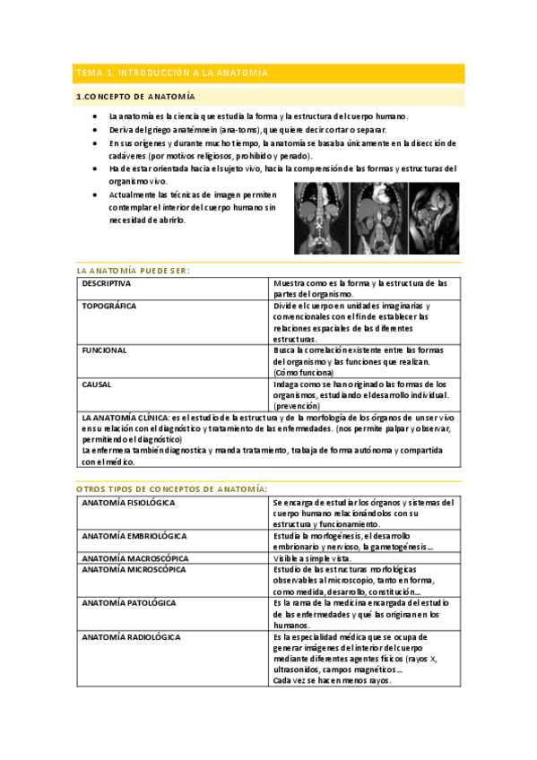 Miniatura del documento TEMA1.pdf