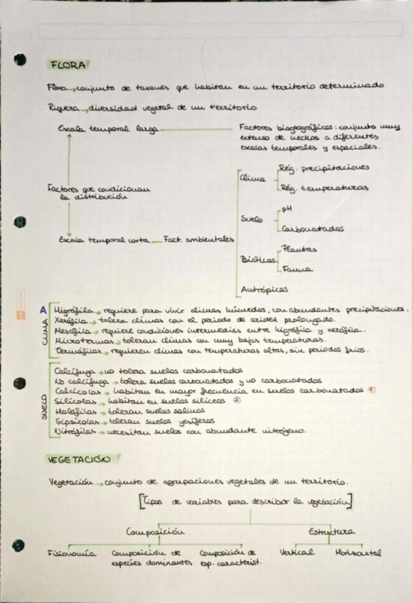 Miniatura del documento FLORA.pdf