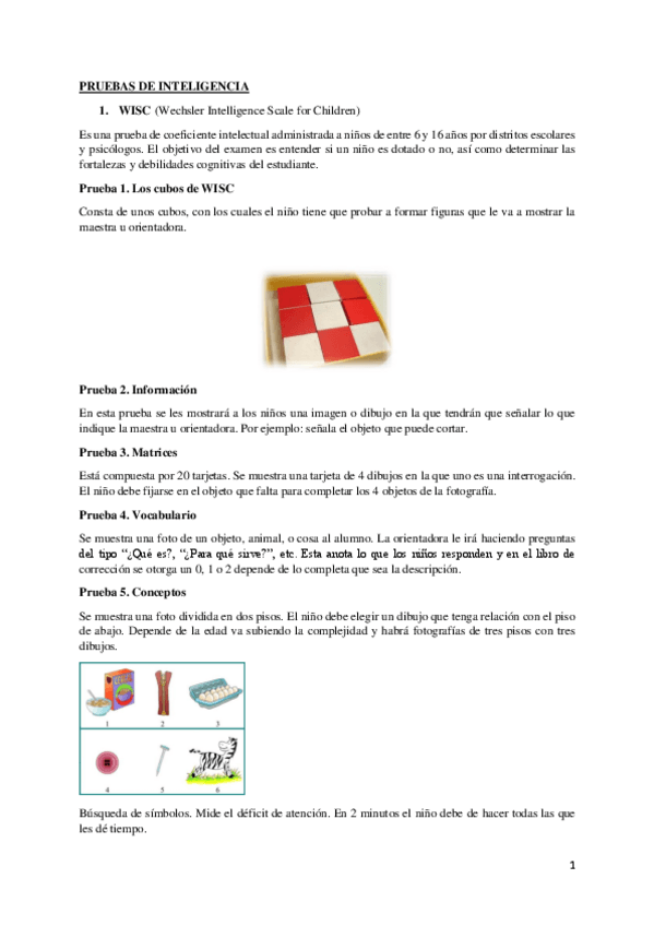 Miniatura del documento pruebas-inteligencia-doc18-convertido.pdf