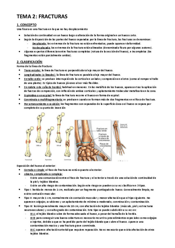 Miniatura del documento TEMA-2.pdf