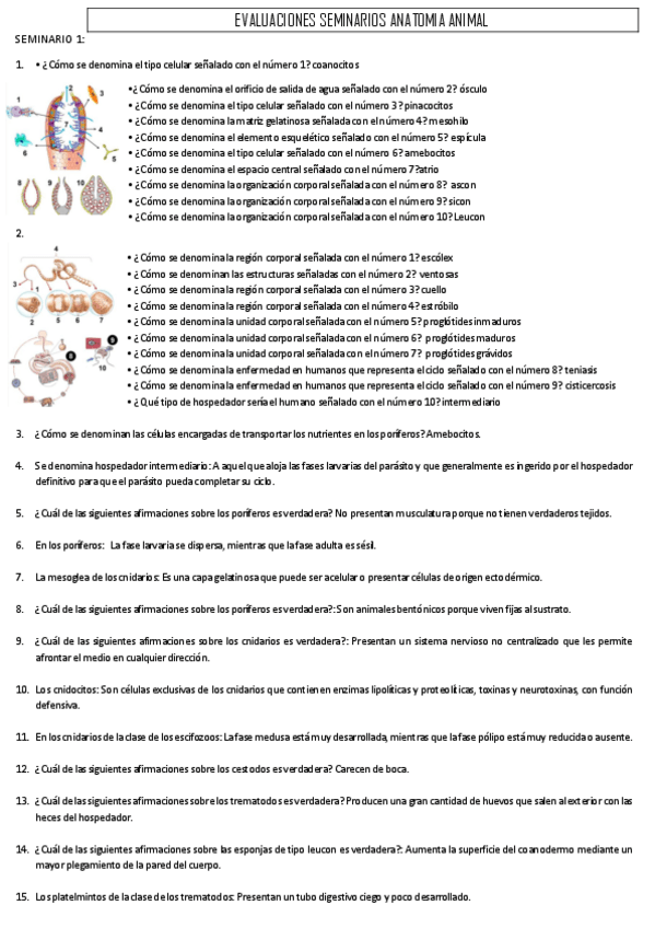 Miniatura del documento SEMINARIOS-EVALUACIONES.pdf