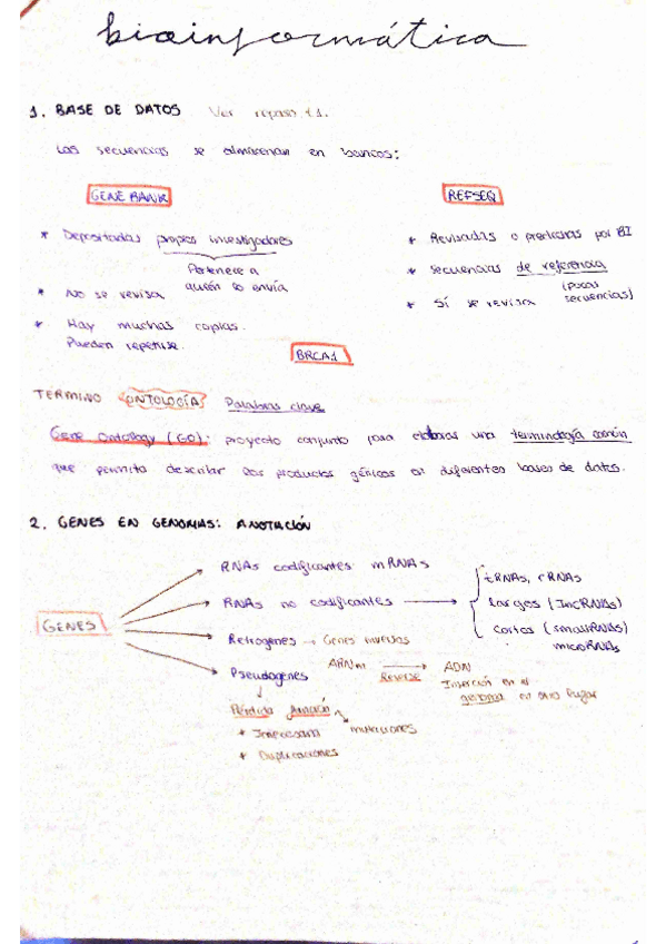 Miniatura del documento RESUMEN-1PP.pdf