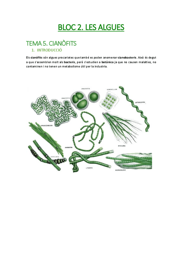 Miniatura del documento RESUM-BLOC2-BOTANICA.pdf