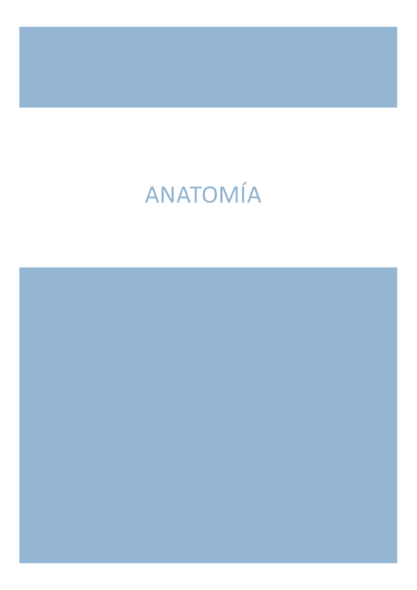 Miniatura del documento Apuntes anatomía