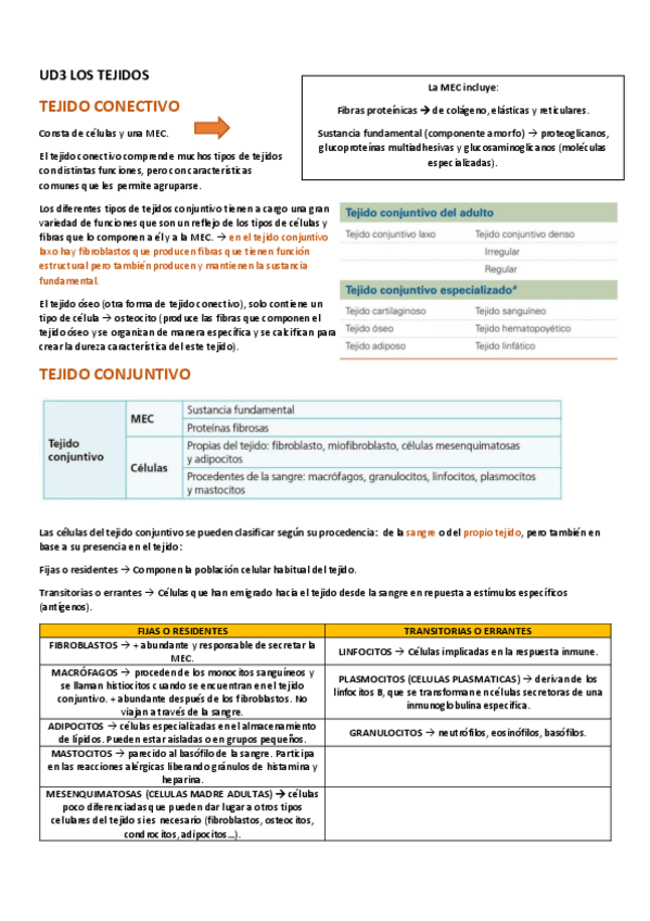 Miniatura del documento UD3-LOS-TEJIDOS-TEJIDO-CONECTIVO.pdf