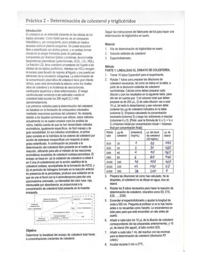 Miniatura del documento Practica-2.pdf