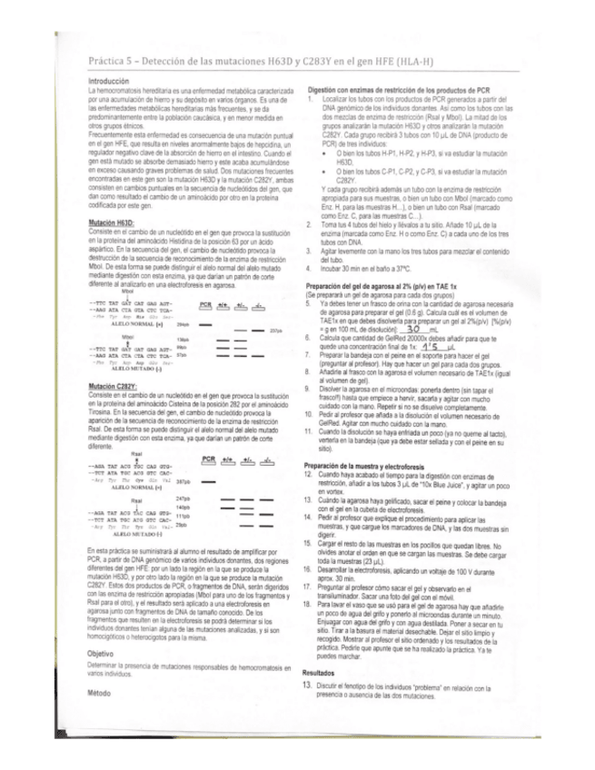 Miniatura del documento Practica-5.pdf
