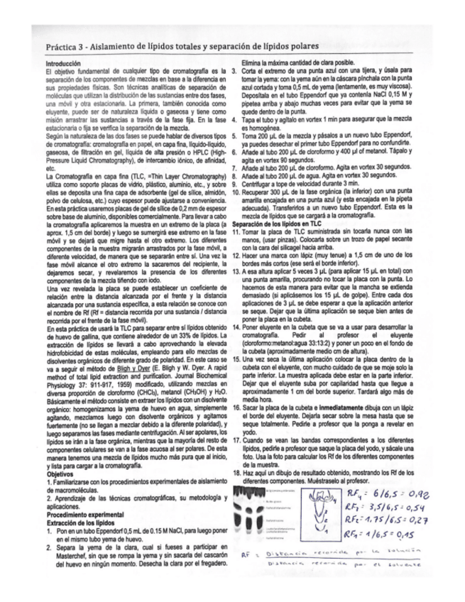 Miniatura del documento Practica-3.pdf