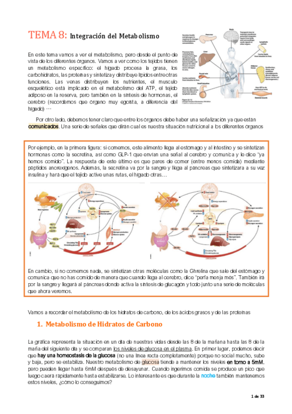 Miniatura del documento tema-8-metabolismo.pdf