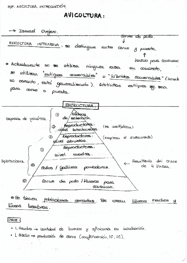Miniatura del documento Apuntes-avicultura.pdf