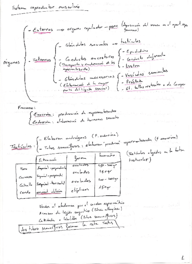 Miniatura del documento Segunda-parte.pdf