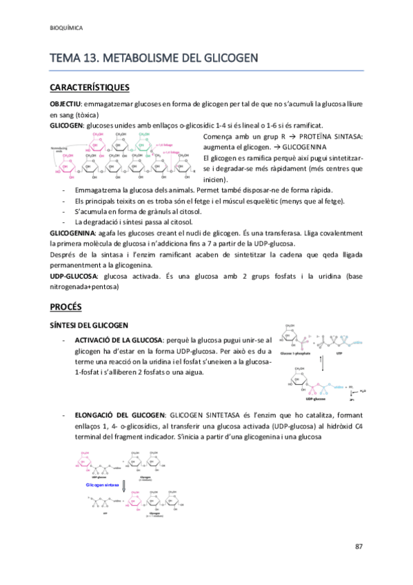 Miniatura del documento bioquimica part 2.2.pdf