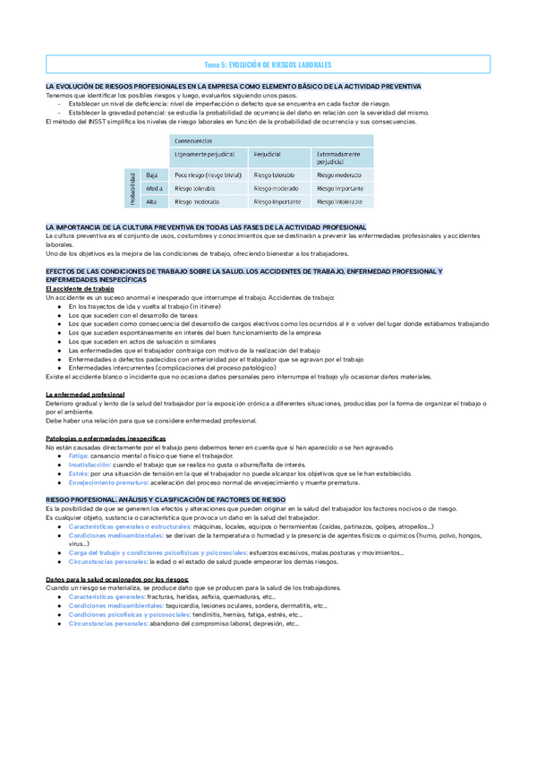 Miniatura del documento Tema-5-EVOLUCION-DE-RIESGOS-LABORALES.pdf