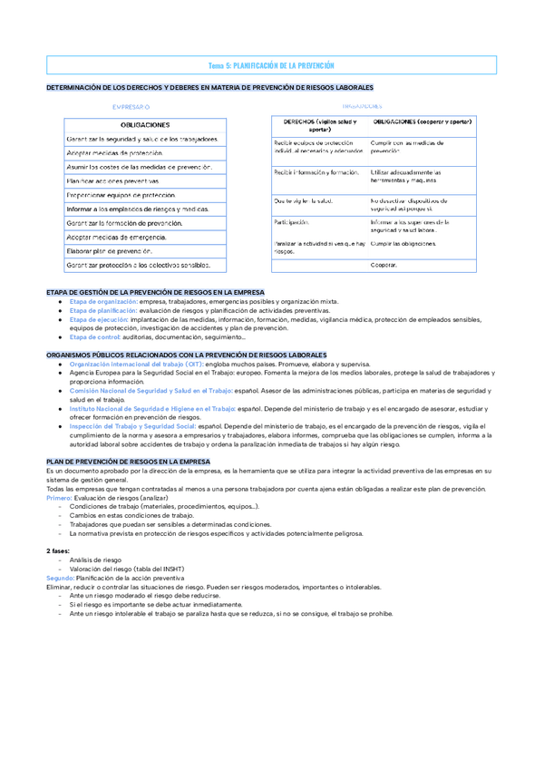Miniatura del documento Tema-6-PLANIFICACION-DE-LA-PREVENCION.pdf