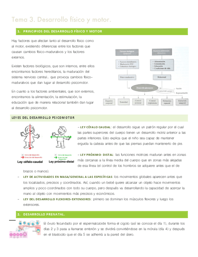Miniatura del documento tema-3-desarrollo.pdf