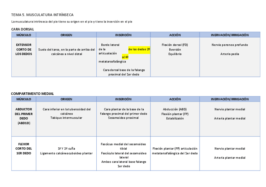 Miniatura del documento TEMA-5-ANATOMIA.pdf