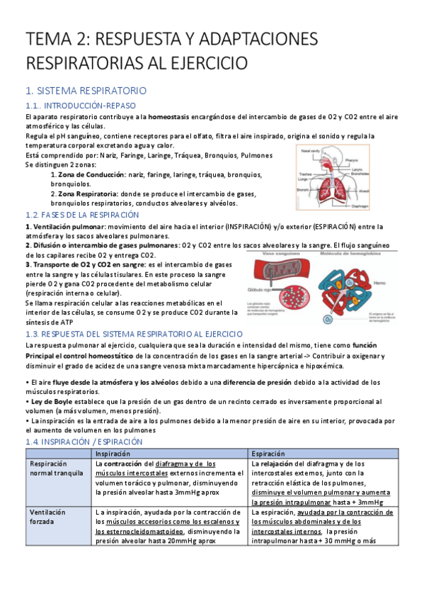 Miniatura del documento FEII.pdf