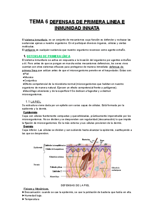 Miniatura del documento (672485903) TEMA 6 DEFENSAS DE PRIMERA LINEA E INMUNIDAD INNATA.pdf