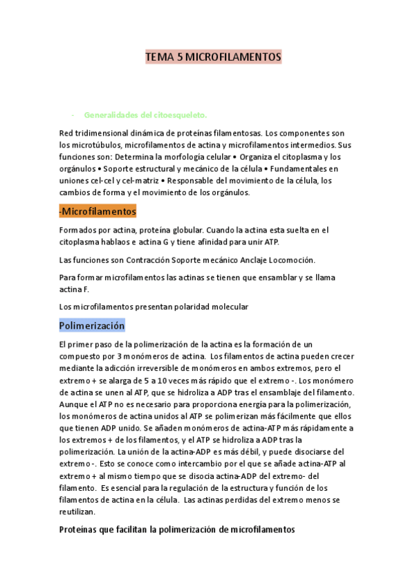 Miniatura del documento TEMA-5-MICROFILAMETOS.pdf