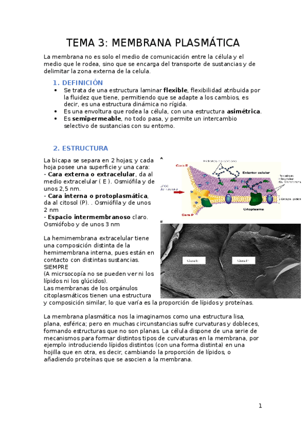 Miniatura del documento TEMA-3.docx