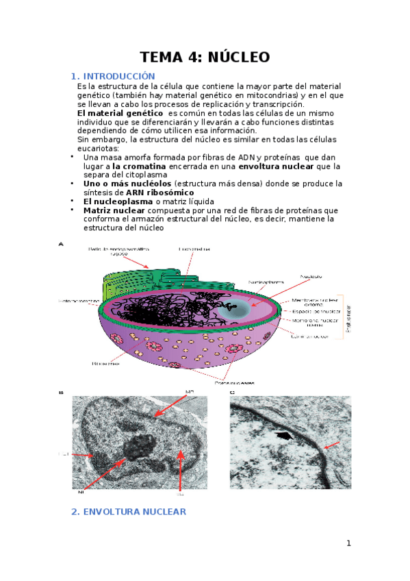 Miniatura del documento TEMA-4.docx