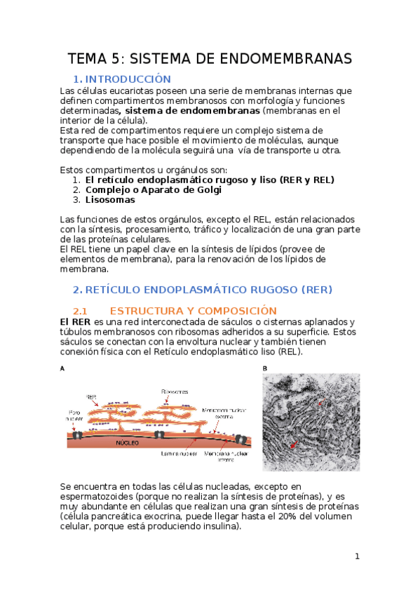 Miniatura del documento TEMA-5.docx