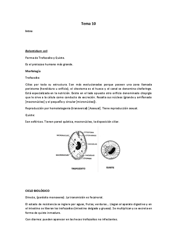 Miniatura del documento Tema 10 para.pdf