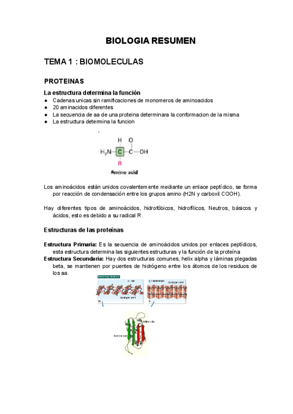 Miniatura del documento Resumen-Biologia.pdf