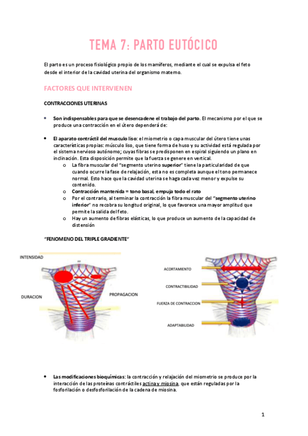 Miniatura del documento TEMA-7-MATERNO.pdf