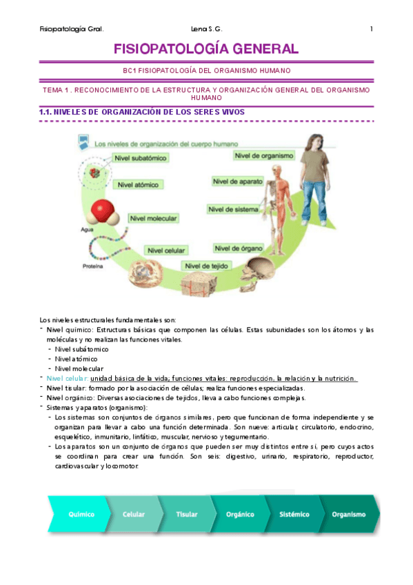 Miniatura del documento 01-FG-Tema-1-Apuntes-Lena.pdf