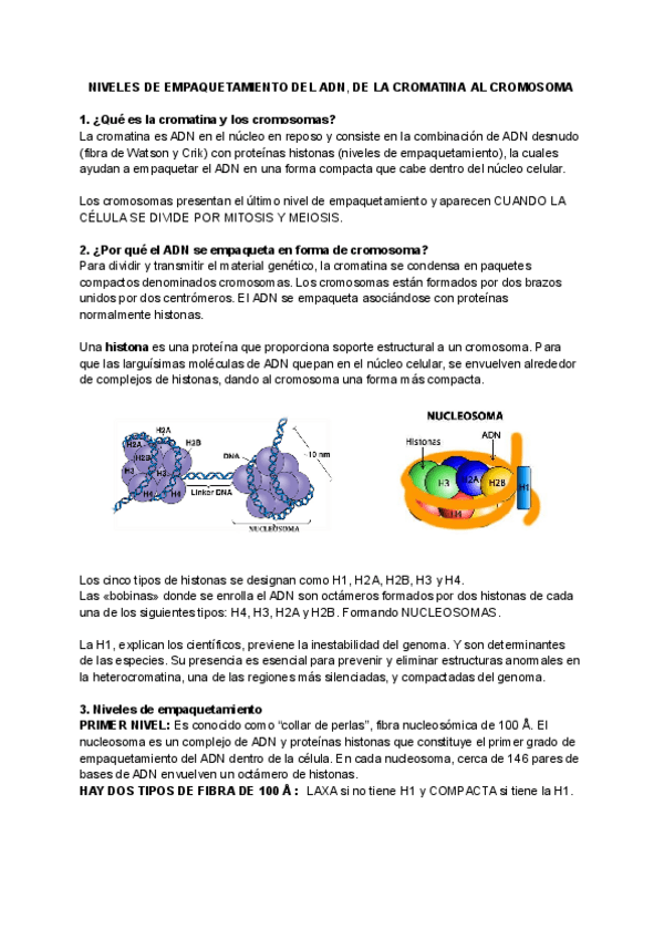 Miniatura del documento NIVEL-DE-EMPAQUETAMIENTO.pdf