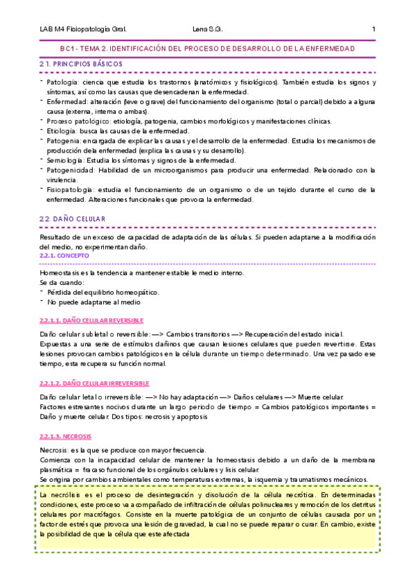 Miniatura del documento 02-FG-Tema-2-Apuntes-Lena-c.pdf