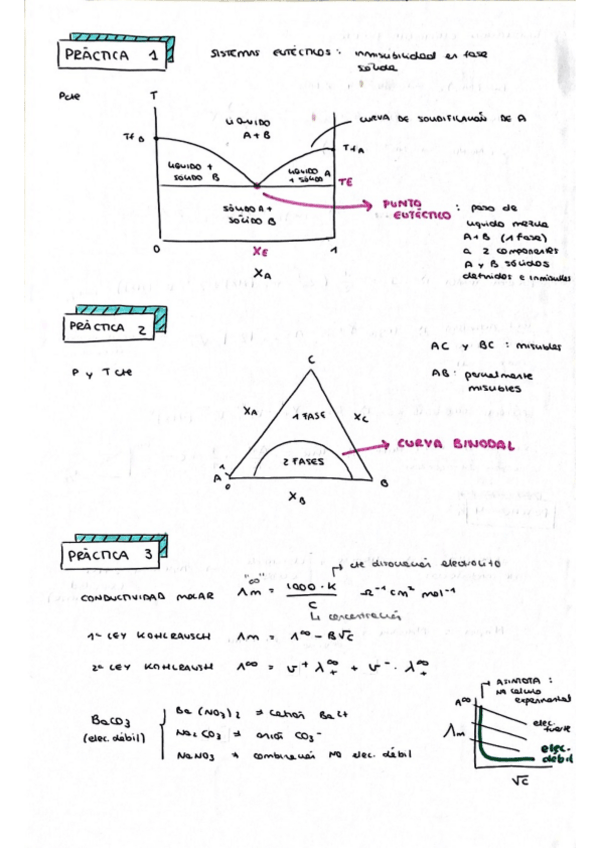 Miniatura del documento Resumen-practicas-fisicoquimica-II.pdf