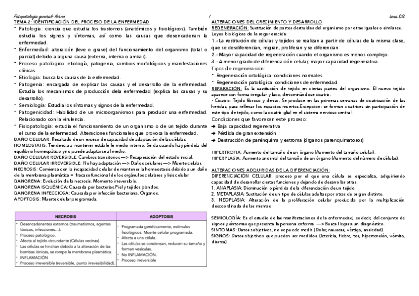 Miniatura del documento 02-FG-Esquema-tema-2.pdf