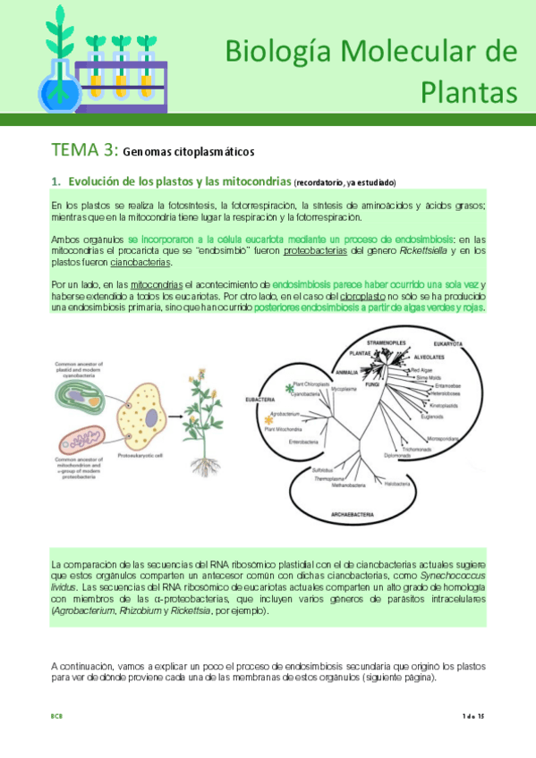 Miniatura del documento Tema-3-plantas.pdf