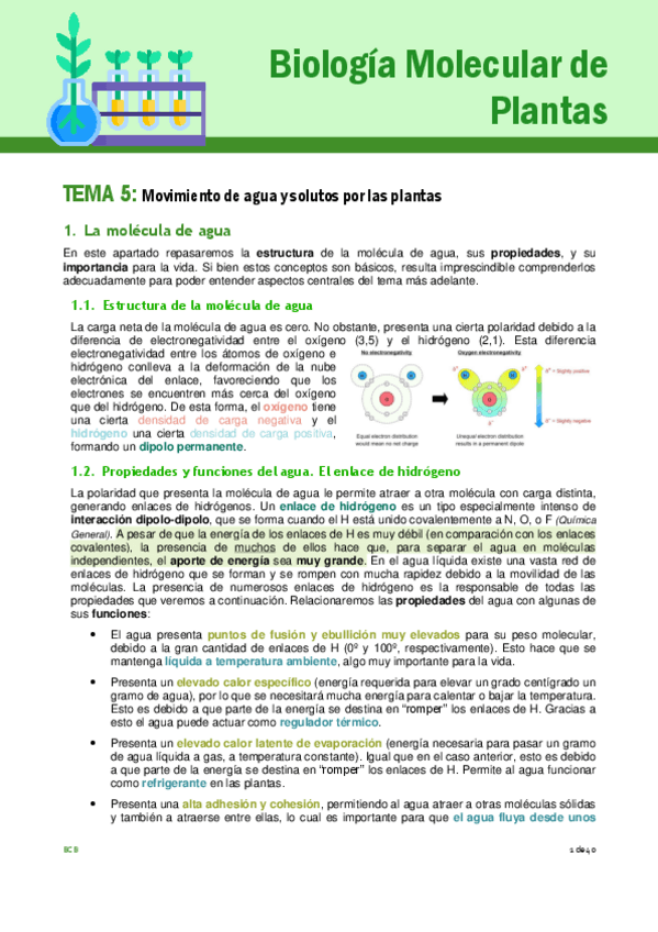 Miniatura del documento Tema-5-plantas.pdf