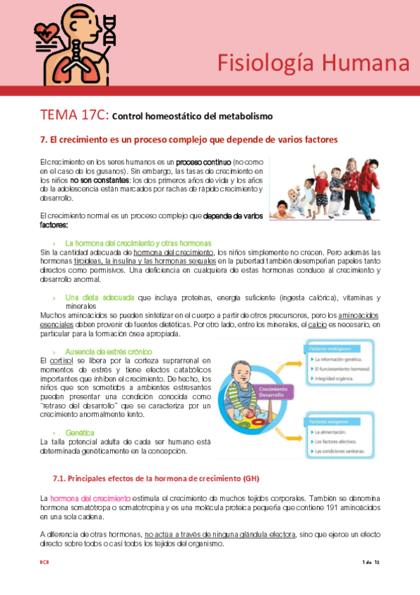Miniatura del documento Tema-17C-fisio.pdf