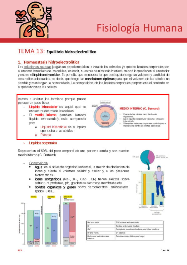 Miniatura del documento Tema-13-fisio.pdf
